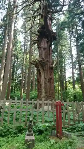 巖鬼山神社の建物その他