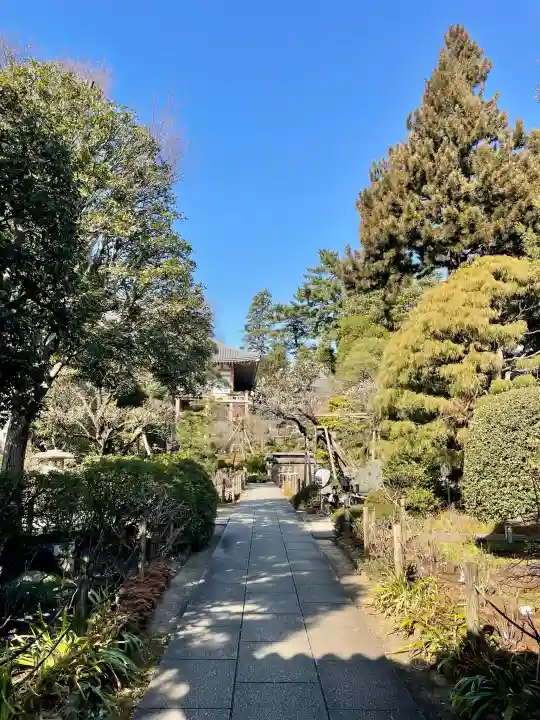 東長谷寺 薬王院の{uncategorized: "未分類", other: "その他", undefined: "問題あり", building: "その他建物", grave: "お墓", sacred_gate: "鳥居", guardian: "狛犬", statue: "像", buddha: "仏像", history: "歴史", nature: "自然", garden: "庭園", animal: "動物", pagoda: "塔", temizu: "手水舎", mountain_gate: "山門・神門", sanctuary: "本殿・本堂", subordinate: "末社・摂社", art: "芸術", scenery: "景色", jizo: "地蔵", ema: "絵馬", goshuin: "御朱印", omikuji: "おみくじ", items: "授与品その他", amulet: "お守り", goshuincho: "御朱印帳", eats: "食事", festival: "お祭り", votive_dance: "神楽", shichigosan: "七五三参", wedding: "結婚式", experience: "体験その他", initially: "初詣", around: "周辺", anti_infection: "感染症対策"}