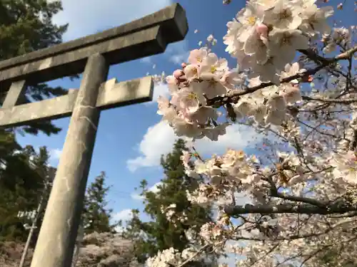 相馬神社の鳥居