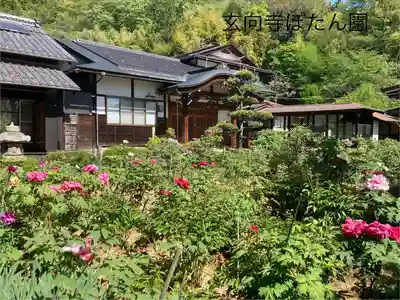 玄向寺(長野県)