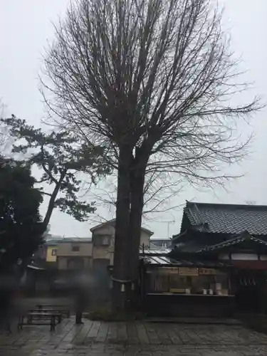 菊田神社の自然