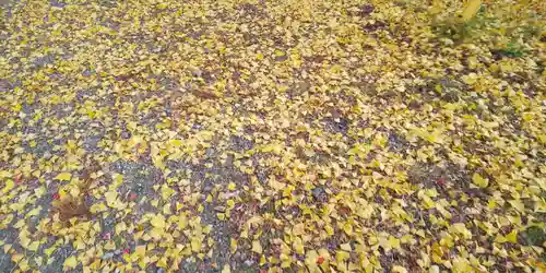 出雲大神宮の景色