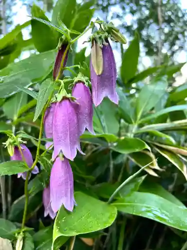 禰固岳神社(長野県)