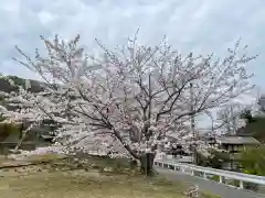 厳島神社(広島県)