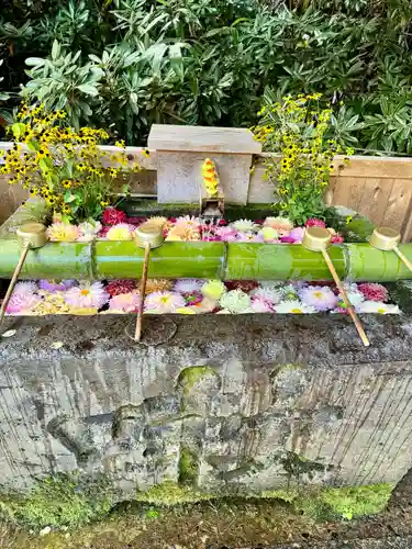 白根神社(群馬県)