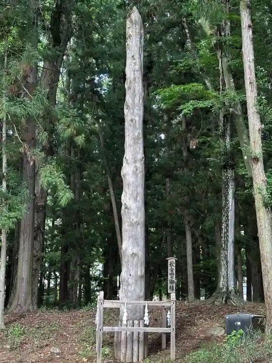諏訪大社下社秋宮(長野県)
