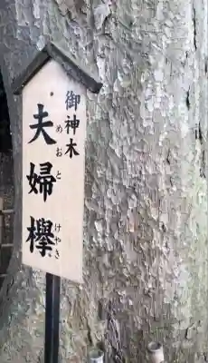 長宮氷川神社(埼玉県)
