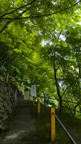 善峯寺(京都府)