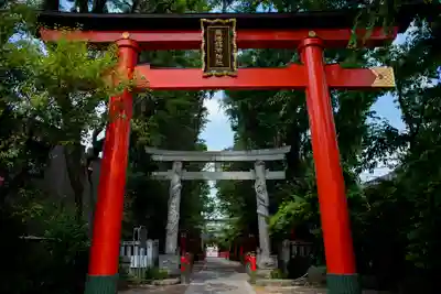 馬橋稲荷神社の鳥居
