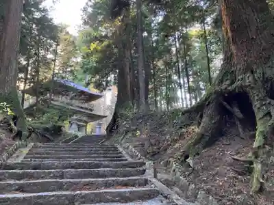 最乗寺（道了尊）(神奈川県)