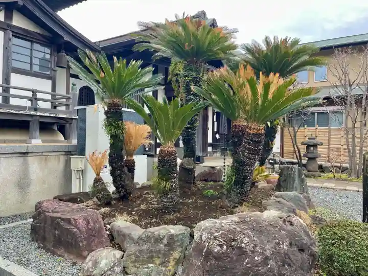 興全寺の{uncategorized: "未分類", other: "その他", undefined: "問題あり", building: "その他建物", grave: "お墓", sacred_gate: "鳥居", guardian: "狛犬", statue: "像", buddha: "仏像", history: "歴史", nature: "自然", garden: "庭園", animal: "動物", pagoda: "塔", temizu: "手水舎", mountain_gate: "山門・神門", sanctuary: "本殿・本堂", subordinate: "末社・摂社", art: "芸術", scenery: "景色", jizo: "地蔵", ema: "絵馬", goshuin: "御朱印", omikuji: "おみくじ", items: "授与品その他", amulet: "お守り", goshuincho: "御朱印帳", eats: "食事", festival: "お祭り", votive_dance: "神楽", shichigosan: "七五三参", wedding: "結婚式", experience: "体験その他", initially: "初詣", around: "周辺", anti_infection: "感染症対策"}