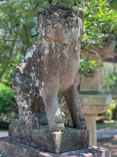 御霊神社（上御霊神社）の狛犬