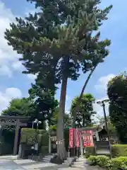 中野沼袋氷川神社(東京都)