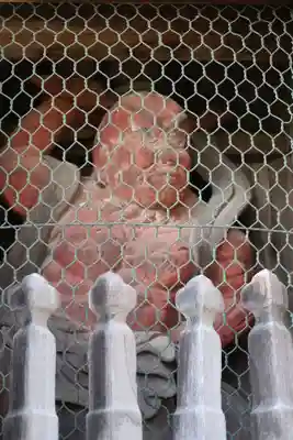 國分寺（国分寺）(京都府)