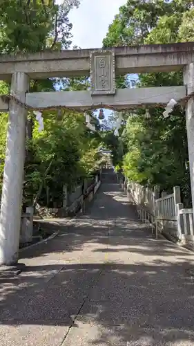 白山宮の鳥居