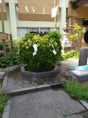 東神社(東京都)