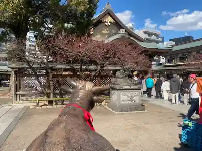 湯島天満宮(東京都)