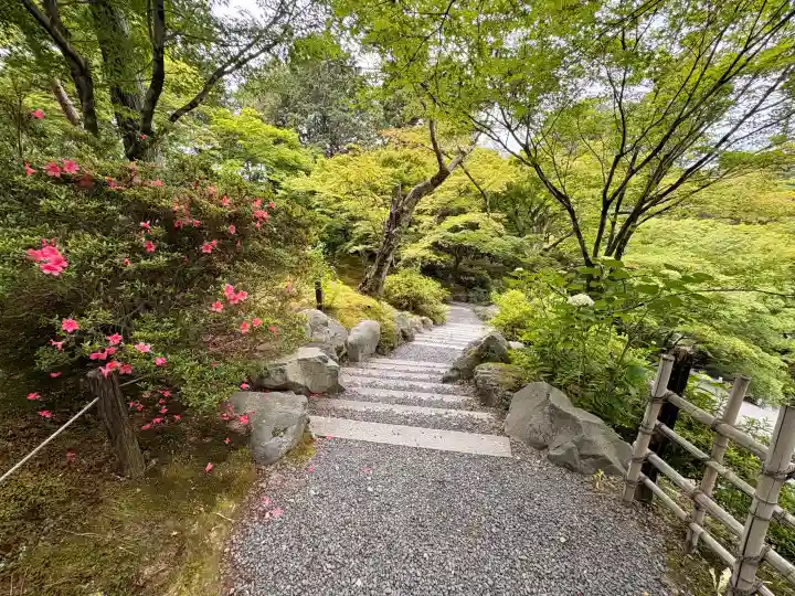 東福禅寺(東福寺)(京都府)