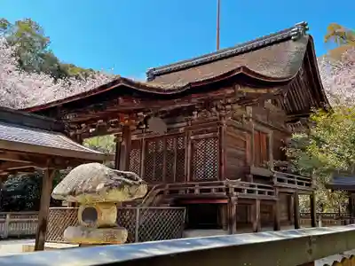 小津神社の本殿・本堂