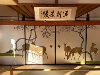 妙蓮寺(京都府)