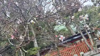 赤山禅院(京都府)