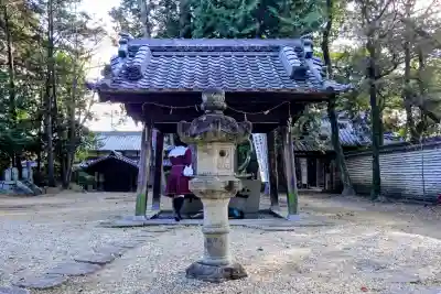 大岡白山神社の{uncategorized: "未分類", other: "その他", undefined: "問題あり", building: "その他建物", grave: "お墓", sacred_gate: "鳥居", guardian: "狛犬", statue: "像", buddha: "仏像", history: "歴史", nature: "自然", garden: "庭園", animal: "動物", pagoda: "塔", temizu: "手水舎", mountain_gate: "山門・神門", sanctuary: "本殿・本堂", subordinate: "末社・摂社", art: "芸術", scenery: "景色", jizo: "地蔵", ema: "絵馬", goshuin: "御朱印", omikuji: "おみくじ", items: "授与品その他", amulet: "お守り", goshuincho: "御朱印帳", eats: "食事", festival: "お祭り", votive_dance: "神楽", shichigosan: "七五三参", wedding: "結婚式", experience: "体験その他", initially: "初詣", around: "周辺", anti_infection: "感染症対策"}