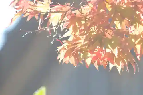 仁和寺(京都府)