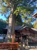 北口本宮冨士浅間神社の本殿・本堂