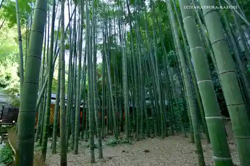 報国寺(神奈川県)