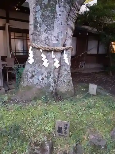 駒形神社(岩手県)