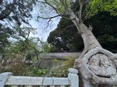 水祖神社(港町)(島根県)