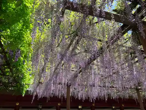 笠間稲荷神社(茨城県)