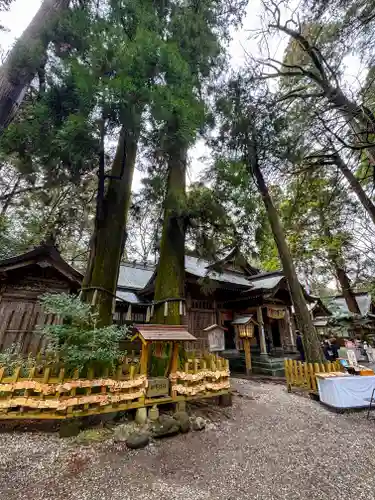 高千穂神社(宮崎県)