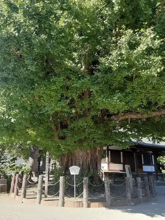 勝福寺(神奈川県)