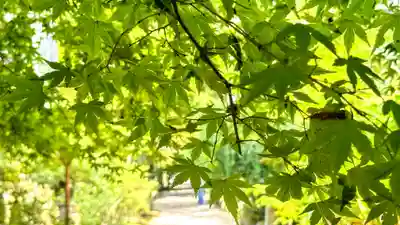 国宝 長寿寺(滋賀県)