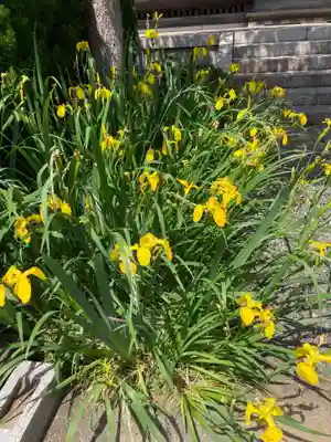 天徳院(神奈川県)