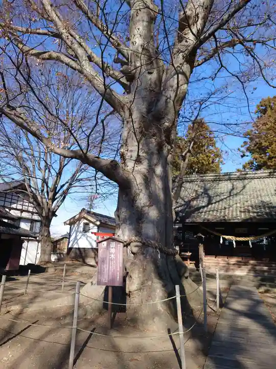 白鳥神社(長野県)
