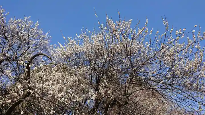 東持寺(茨城県)