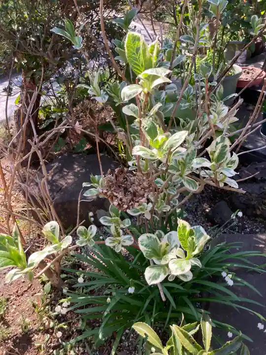 光照寺(神奈川県)
