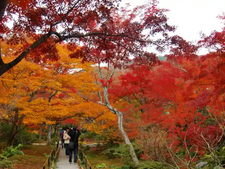 宝筐院(京都府)