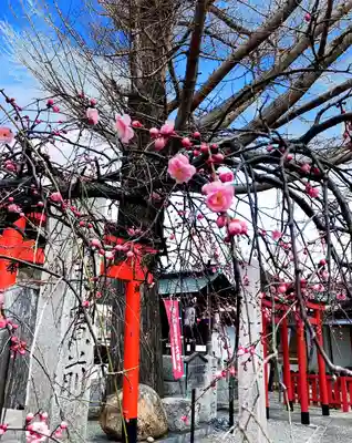 瀧宮神社(広島県)
