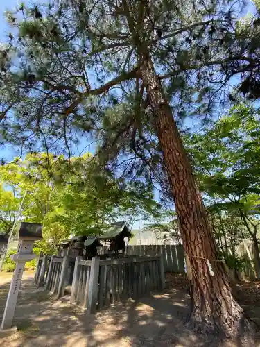 大浦神社の{uncategorized: "未分類", other: "その他", undefined: "問題あり", building: "その他建物", grave: "お墓", sacred_gate: "鳥居", guardian: "狛犬", statue: "像", buddha: "仏像", history: "歴史", nature: "自然", garden: "庭園", animal: "動物", pagoda: "塔", temizu: "手水舎", mountain_gate: "山門・神門", sanctuary: "本殿・本堂", subordinate: "末社・摂社", art: "芸術", scenery: "景色", jizo: "地蔵", ema: "絵馬", goshuin: "御朱印", omikuji: "おみくじ", items: "授与品その他", amulet: "お守り", goshuincho: "御朱印帳", eats: "食事", festival: "お祭り", votive_dance: "神楽", shichigosan: "七五三参", wedding: "結婚式", experience: "体験その他", initially: "初詣", around: "周辺", anti_infection: "感染症対策"}