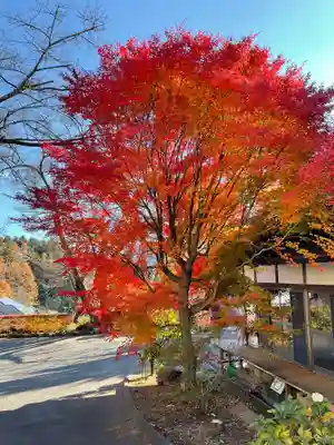 検校庵(長野県)