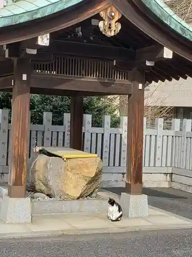 白金氷川神社の手水舎