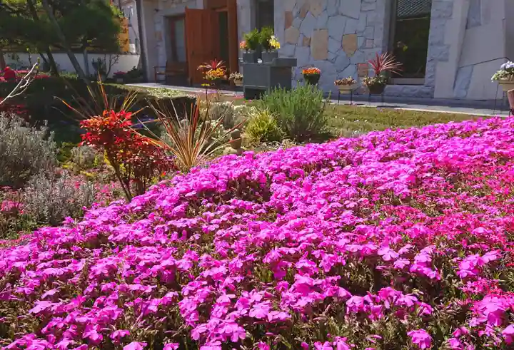 寿量山 速成寺の庭園