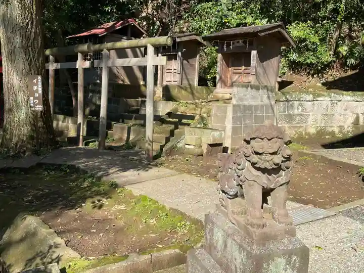 熊野神社(杉田・中原)(神奈川県)