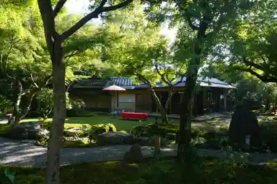 高台寺（高台寿聖禅寺・高臺寺）の周辺