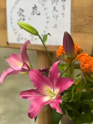 須山浅間神社(静岡県)