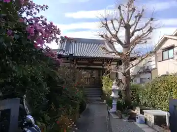 専養寺(和歌山県)