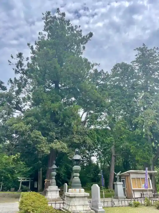 青葉神社(宮城県)
